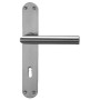 Poignée+entrées de porte INOX entrée longue RZ