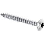 Vis à bois 5.0x20 Inox A2 TX10 Tête goutte de suif 500pces