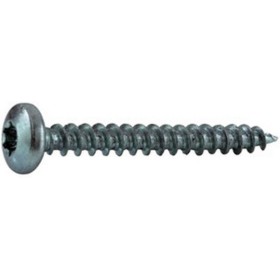 Vis à bois 4.0x50 TX20 tête Panhead bombée 500pces