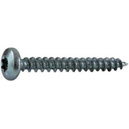 Vis à bois 4.0x50 TX20 tête Panhead bombée 500pces
